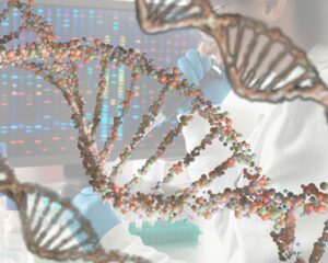 dna araştırmaları 