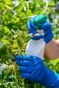 pestisit, tarım, gıda mühendisi