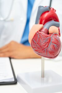 check-up, kanser, kalp damar hastalıkları