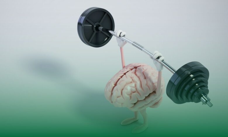 beyin, gelişim, deneyim