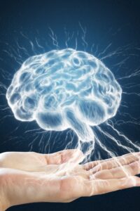 beyin, kadın, deneyim, cinsiyet