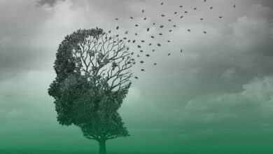 alzheimer, kan testi