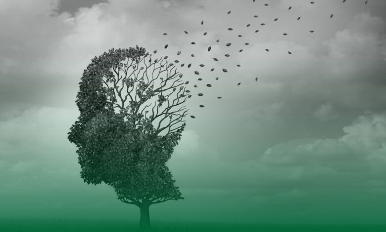 alzheimer, kan testi