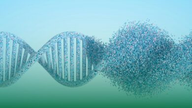 dna, dna hasar, dna onarımı, crispr