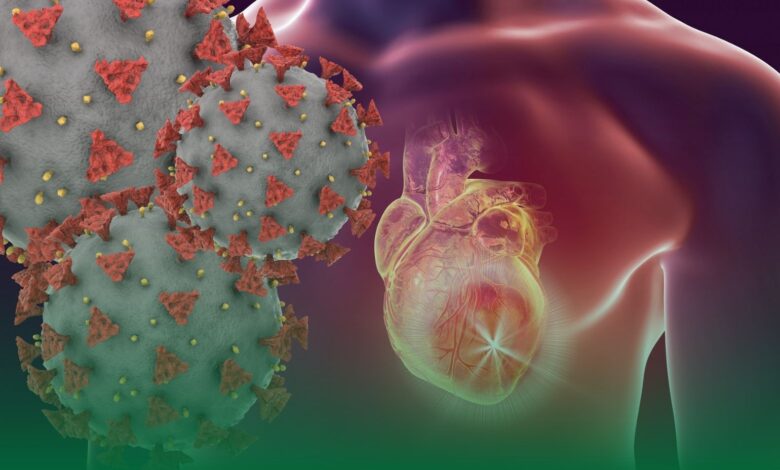 kalp krizi, resveratrol, kardiyoloji uzmanı demet erciyes,