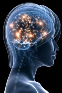 dil, beyin sağlığı, dil öğrenimi