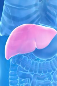 zayıflama ilaçları, karaciğer, mash hastalığı, 