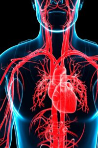 tansiyon, yüksek tansiyon, hipertansiyon