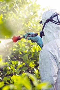 pestisit, sebze, meyve, 