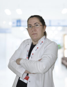 kene, evcil hayvan, kırım kongo kanamalı ateşi