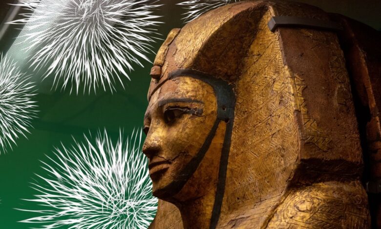 mumyanın laneti, mantar, kanser tedavisi, lösemi,