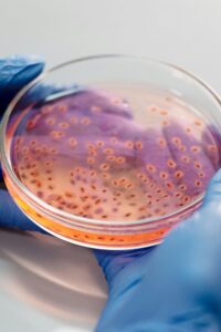 yeni bir pandemi, mantar enfeksiyonları, antifungal direnci,