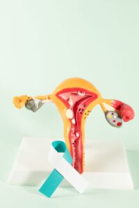 ücretsiz hpv aşısı, rahim ağzı kanseri, hpv aşısı, 