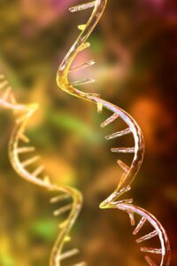 hiv, aids, mrna, hiv tedavisi,