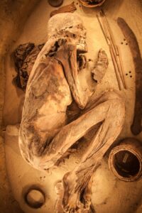 mumya, mumyanın laneti, kanser ilacı, 