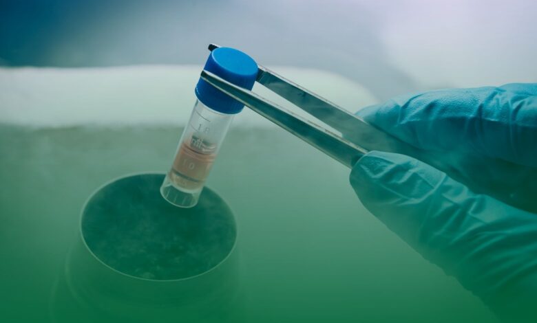 tedavi, kök hücre, tavuk karası,