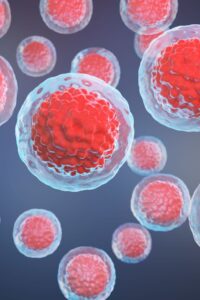 tavuk karası, kök hücre, tedavi,