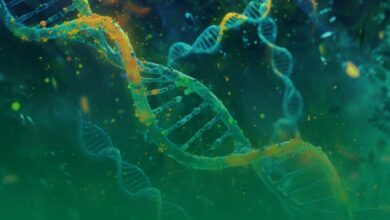 antik dna, bakteri,