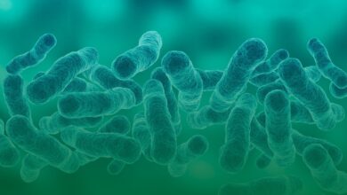 sepsis