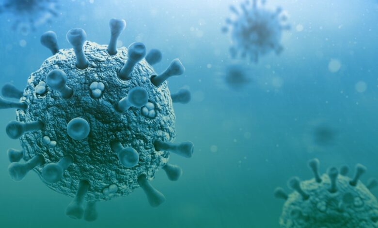 karın ağrısı, norovirüs, kusma,