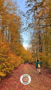 yürüyüş, ruh sağlığı,