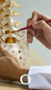 omurga, cerrahi, ameliyat,