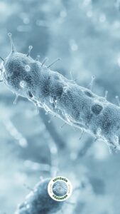 antibiyotik direnci,