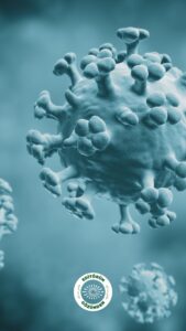 grip, mevsimsel grip,