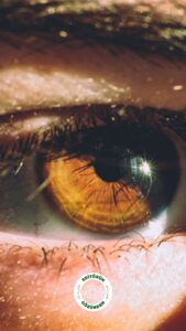 yetişkin, göz tembelliği, tedavi,