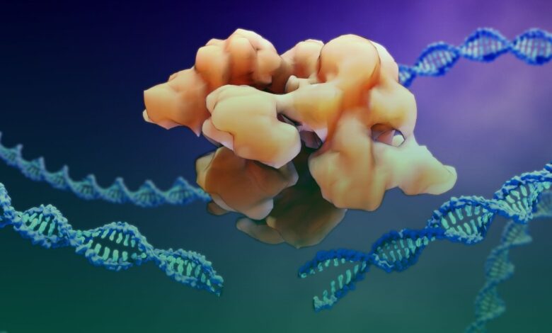 obezite, m3rn, protein, genetik,