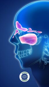 sinüzit, yüz felci, ıslak saç,