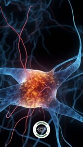 alzheimer, tedavi, tps,