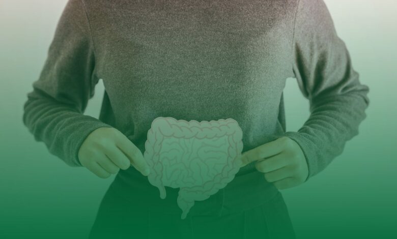 mikrobiyota, bağırsak, sağlık,