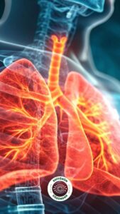 koah, kış, tehlike,