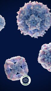 protein, sağlık, tüketim,