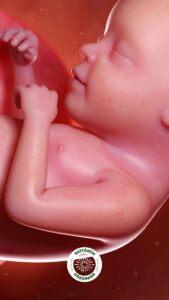 gebelik, influenza, tehlike,