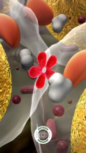 pkos, insülin, gizli tehlike,