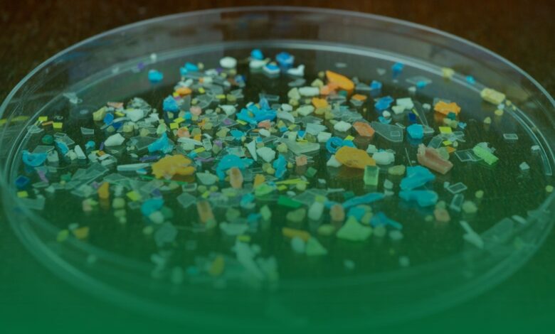 mikroplastik, prostat, kanser,