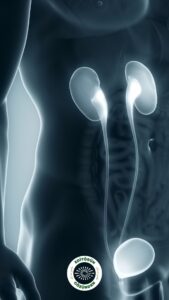 üretra darlığı, prostat, belirti,