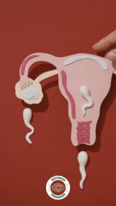 kadın, annelik, yumurta dondurma,