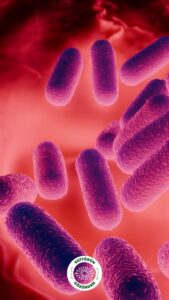 yoğurt, mikrobiyom, sağlık,