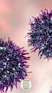 kedi, kanser, genetik,