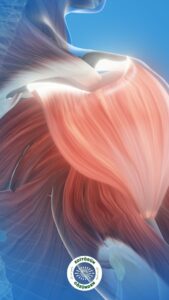 omuz, yıpranma, telefon,