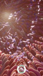 karın şişkinliği, mikrobiyota,