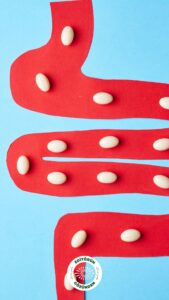 bağırsak florası, işlenmiş gıda,