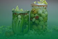 probiyotik, yiyecekler,