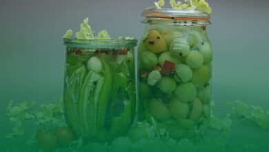 probiyotik, yiyecekler,