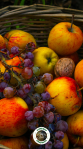 Flavonoidler, antioksidan,