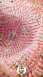 parkinson, bağırsak, mikrobiyota,