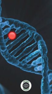 epigenetik yaş,